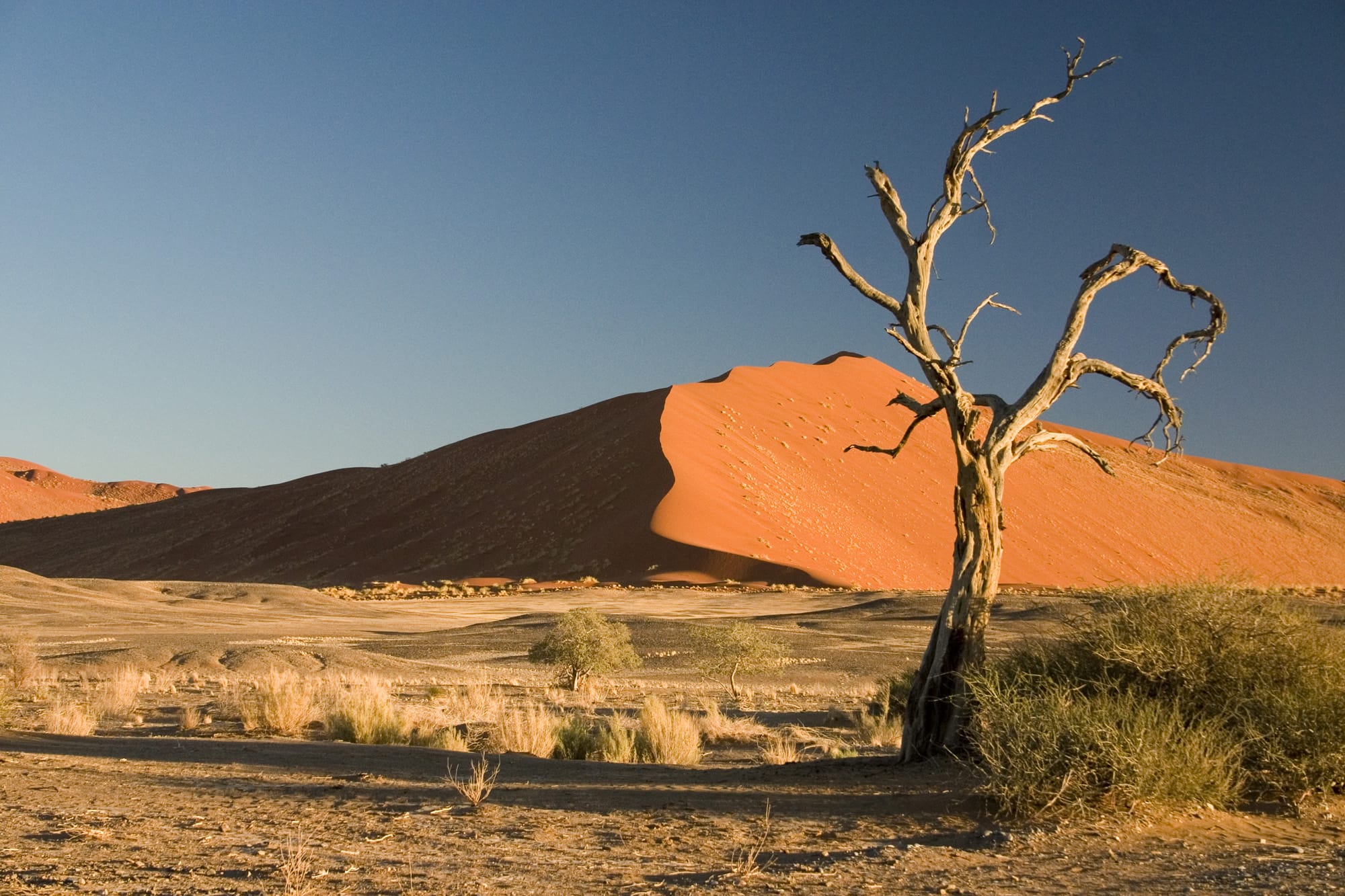 Sossusvlei Wste Namibia