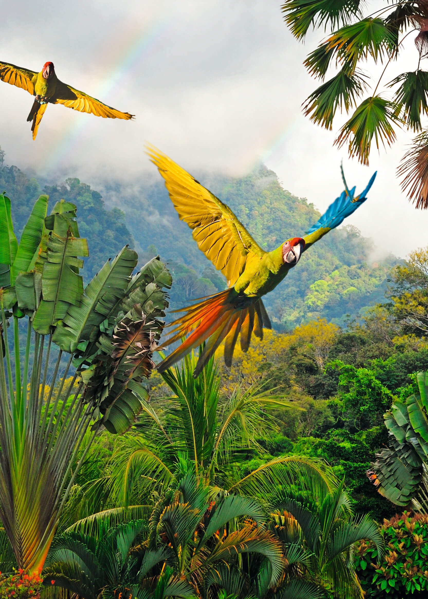 Costa Rica