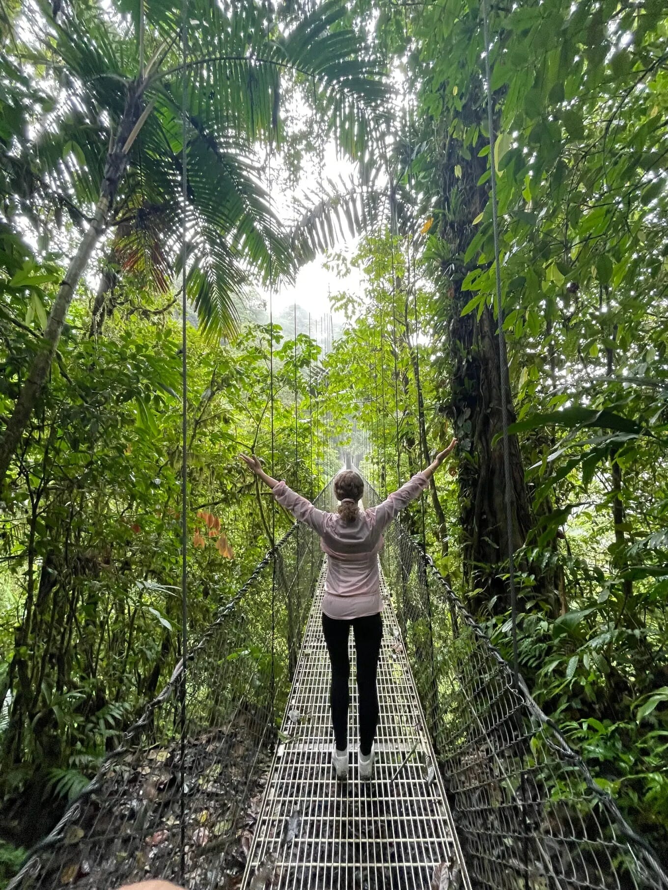 Monteverde - Rebekka Balzarini