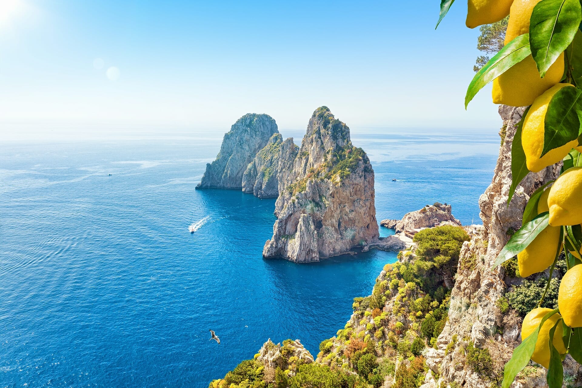 Italien Capri Faraglioni Rocks