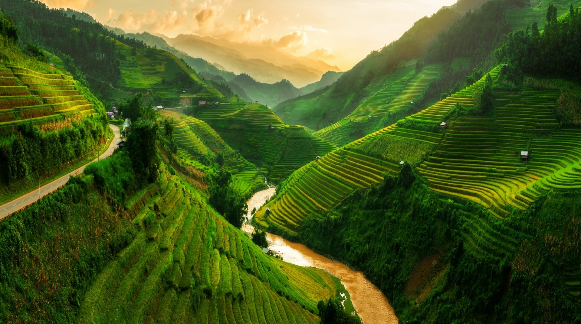 Vietnam Reisefelder