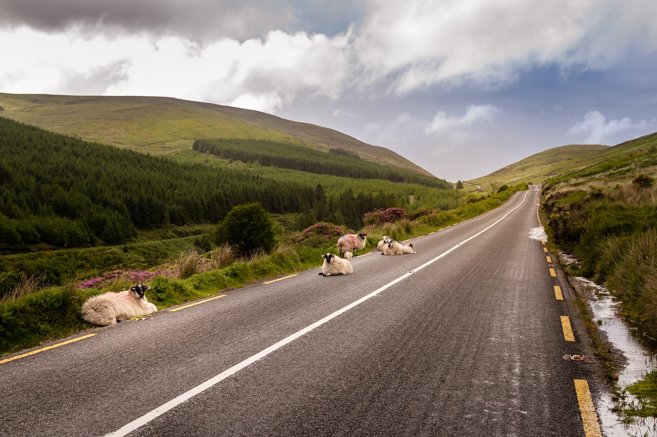 Mietwagenreise Irland