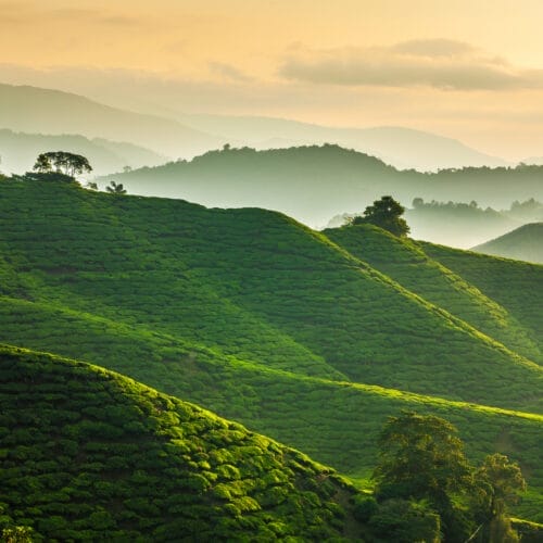 MALAYSIA 